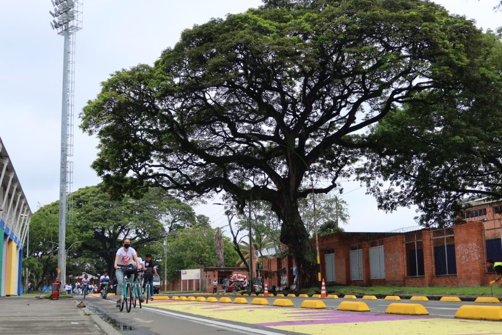 Palmira recibió los Juegos Panamericanos Junior con la Ruta Saludable