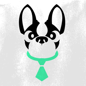 ¿Cómo llevar su mascota al trabajo?