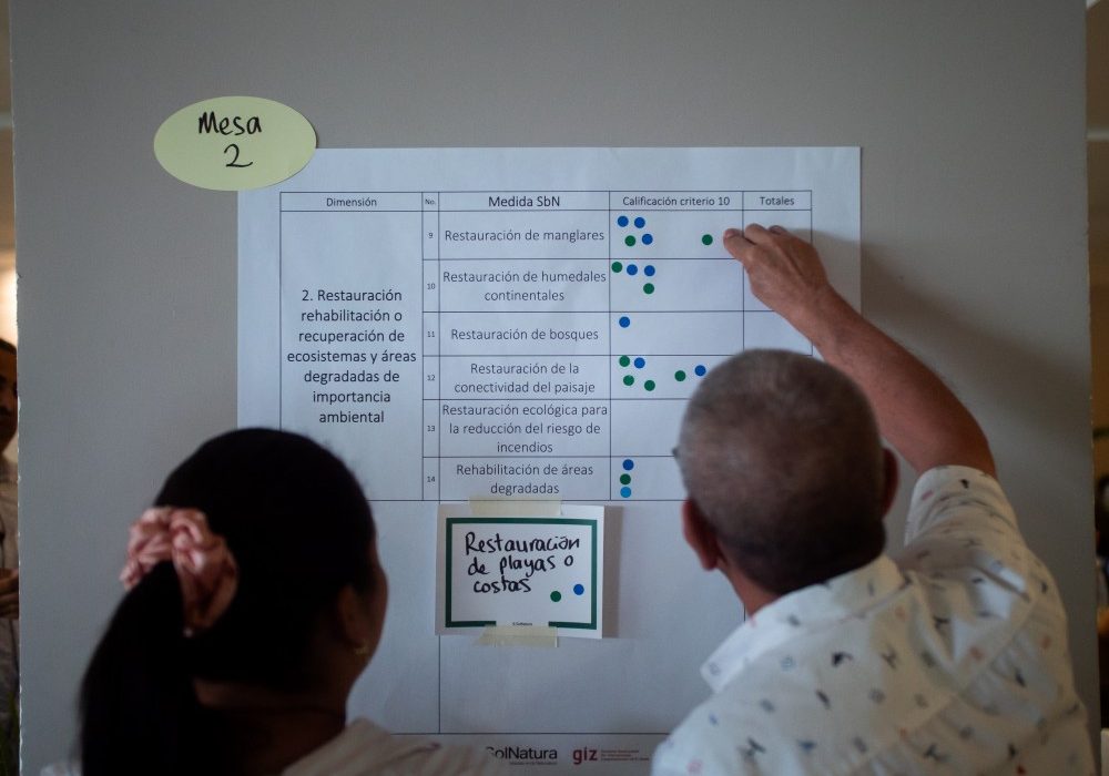 14. IKI SolNatura crédito David Fayad