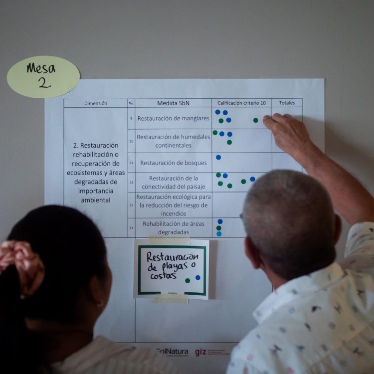 14. IKI SolNatura crédito David Fayad