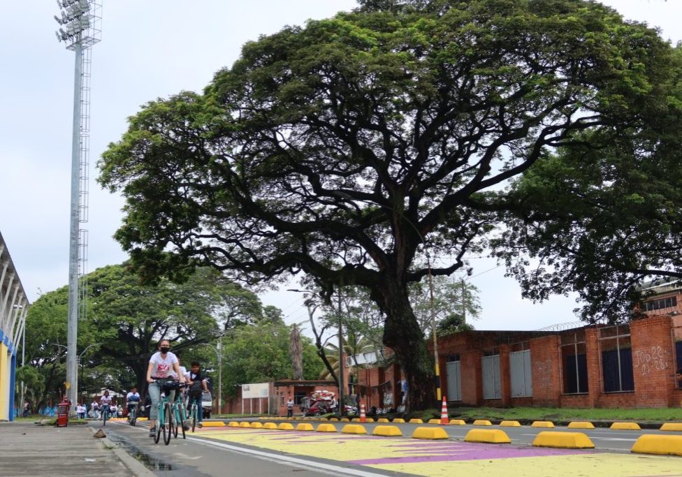 Ruta Saludable Palmira