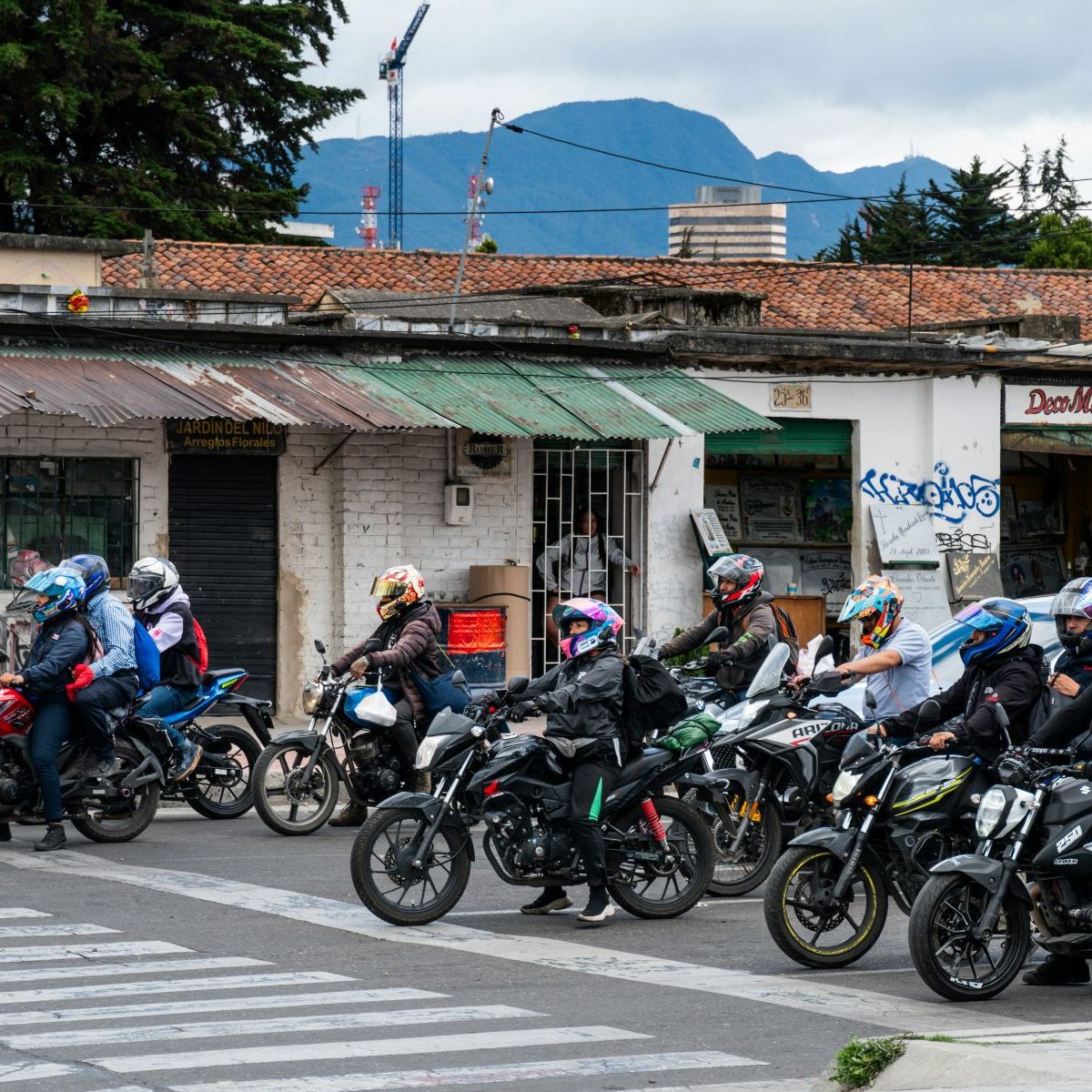 low reza-madani-dfmYsB8pPFs-unsplash